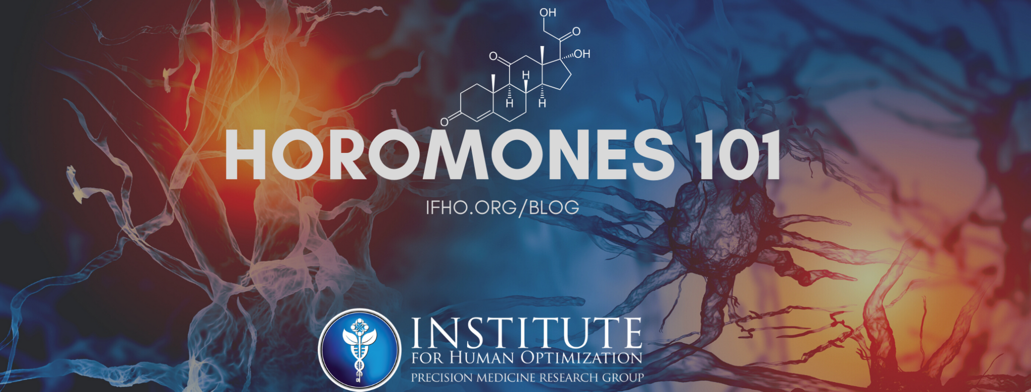 Hormone Optimization Series Endocrinology 101 The Institute For