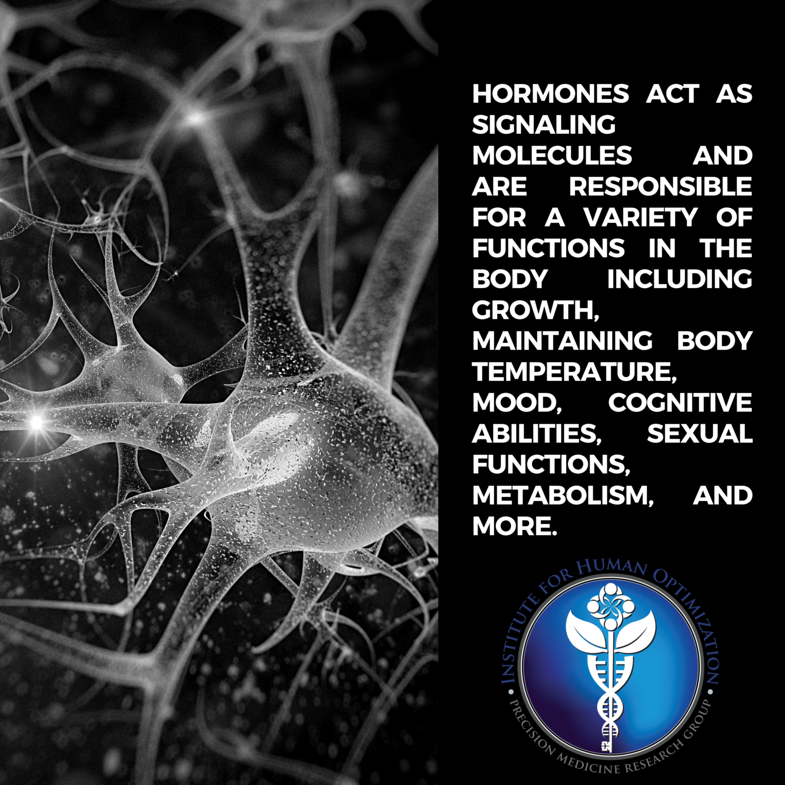 Hormone Optimization Series Endocrinology 101 The Institute For