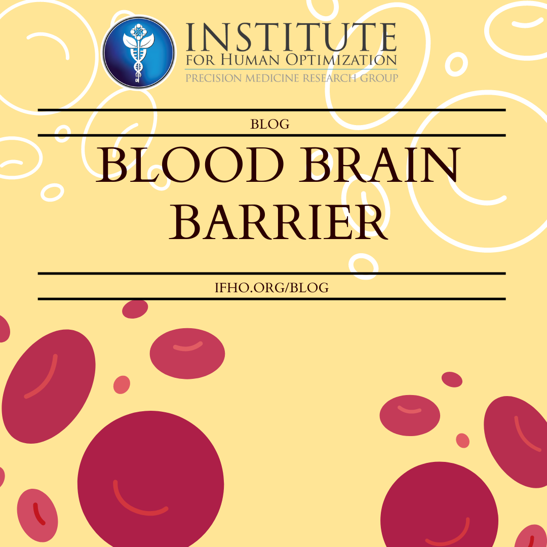 THE BLOOD BRAIN BARRIER The Institute for Human Optimization