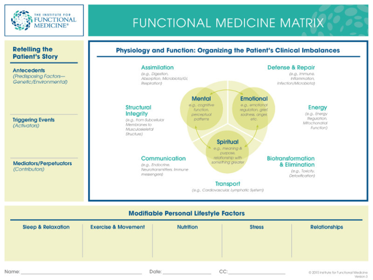 Functional Medicine The Institute For Human Optimization   IFM Matrix Clinical And Teaching 768x576 